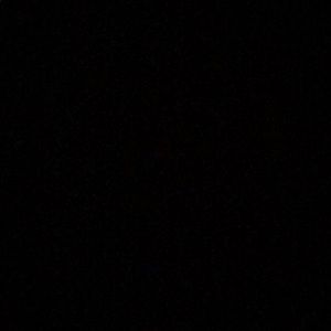 Meet your Posher, Trevor